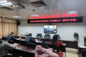 香港澳门疫情现状与防控措施，两地如何协同应对疫情挑战？