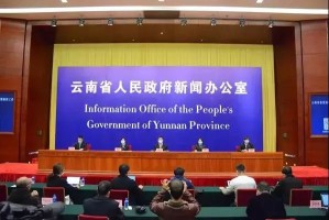 石家庄疫情会议精神解读，科学防控与民生保障的双重使命