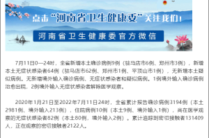 河南省疫情速报，最新动态与防控措施解析