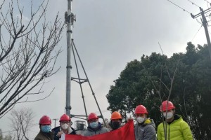 福建与上海疫情最新动态报告