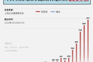 上海市疫情中心，挑战、应对与未来展望