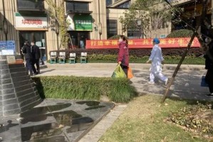 浙江省疫控局官网，疫情防控的权威信息平台