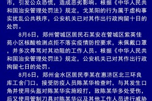 河南省疫情通报，防控措施与当前形势分析