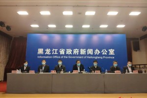 黑龙江省疫情状况，现状、挑战与应对措施