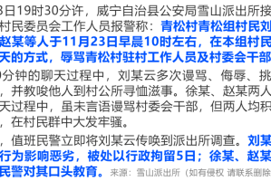 北京村委会书记是什么级别？解析村干部的行政地位与职责