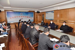 广州最新传染疫情与昆明防控动态，双城联防联控下的挑战与应对