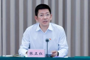 上海市卫健委张帆，公共卫生事业的领航者与城市健康的守护者