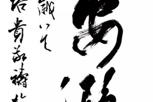 疫情下的石家庄，全民抗疫之路