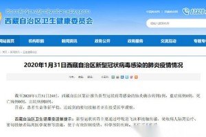 西藏与杭州跨区域协作，疫情政策与防控策略的深度解析