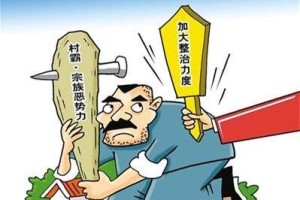 石家庄一村支书被指控，权力滥用与基层治理的困境