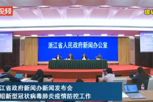 浙江省疫情防控响应，高效协同与科学治理的典范