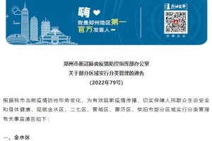 河南省疫情管理的成效与挑战