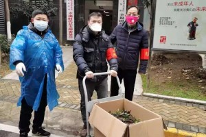 疫情下的应对与坚守，解读西藏自治区最新通告与长春防疫经验
