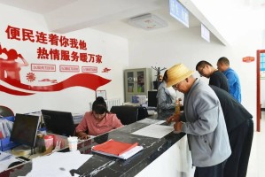 呼和浩特村委会信息查询指南，便民服务与数字化管理