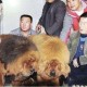 西藏自治区疾控，守护高原健康的坚实屏障
