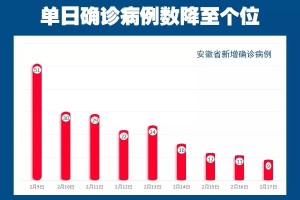 合肥疫情数据解析与防控策略探究