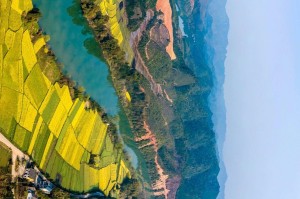 合肥何时解除封城？最新动态与未来展望