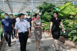 黑龙江与长春疫情最新动态，防控措施、病例数据与应对策略