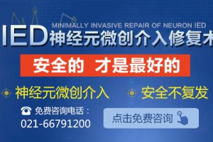 上海市疫情发布官网首页，信息透明与公众信任的桥梁