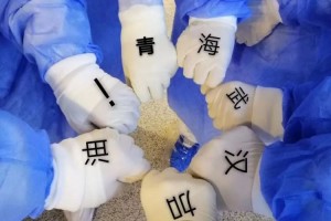 青海与武汉共克时艰，疫情通知与守护家园的最新动态