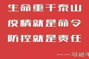 河南省疫情防控办官网，权威信息发布与便民服务的重要平台