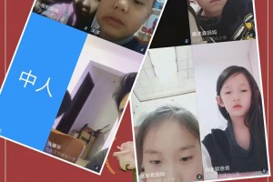 河南石家庄疫情最新数据消息，防控形势与应对措施