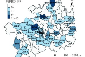 重庆与贵州疫情形势分析与报告