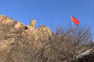 北京疫苗在四川省可以接种吗？疫情下的疫苗接种指南