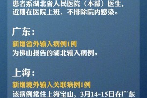 香港疫情境外输入最新情况，防控措施升级与未来挑战