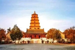 澳门回乌鲁木齐，跨越千里的文化交融之旅