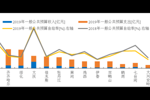 黑龙江省疲情，经济困境与社会挑战的深度剖析