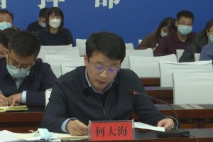 重庆与沈阳肺炎疫情最新动态，挑战与应对策略