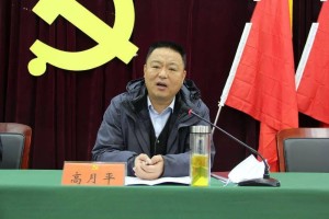 香港疫情最新动态，各区疫情分布与防控措施全面解析