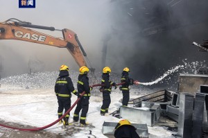 台湾地震救援行动，伤亡情况与救援进展