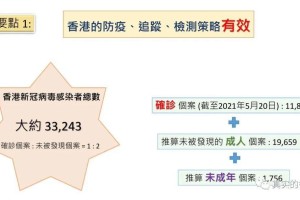 香港疫情防控网站，信息透明与公众参与的桥梁