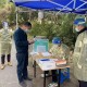 浙江省疫情防疫办，筑牢抗疫防线，守护人民健康