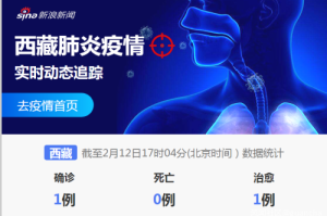 西藏自治区疫情政策与澳门开放情况解析