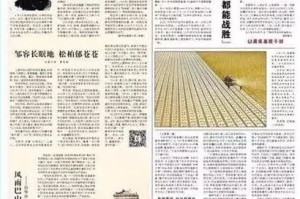 北京村委书记是什么级别？解析中国基层干部体系