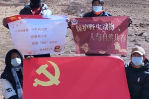 黑龙江省疫情最新通知与青海省防控动态，双省联防联控策略解析