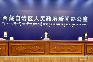 西藏自治区疫情防控要求解析与应对策略