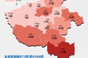 河南省疫情管控政策的现状与未来发展