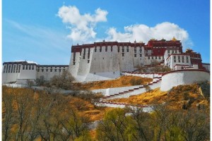 拉萨疫情，高原圣城的静默与突围