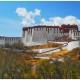 拉萨疫情，高原圣城的静默与突围