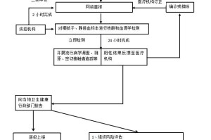 广西壮族自治区疫情通报，最新动态与防控措施