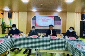 合肥疫情中心电话号码，如何获取最新疫情信息与帮助