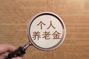 北京村委书记是什么级别？解析村干部的行政级别与职责