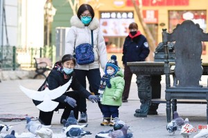 哈尔滨战疫实录，疫情下的坚守与复苏
