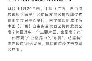 南宁对北京政策，区域协同与国家战略的双向互动