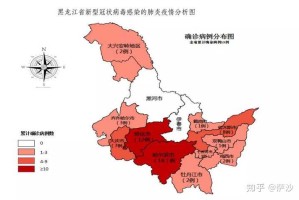 黑龙江省新冠病毒最新动态，防控措施升级与疫情趋势分析