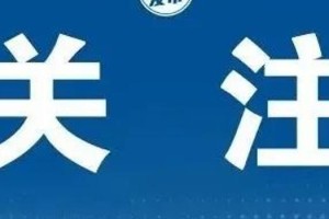 浙江省疫情防控成效显著，武汉最新动态引关注